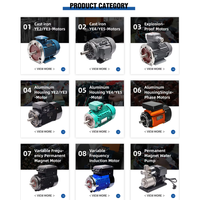 Moteur asynchrone triphasé 15 kW 20 CV 2940 tr/min, entièrement fermé, à cage d'écureuil, IE3, 50 Hz, pour compresseurs d'air