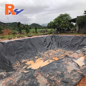 Géomembrane HDPE de 1 mm pour <span class=keywords><strong>réparation</strong></span> <span class=keywords><strong>sous</strong></span>-marine des fuites, revêtement de bassin, membrane HDPE imperméable pour barrages - Fournisseurs - Product Image 2