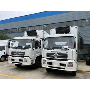 DONGFENG 10 ton kendaraan Reefer 20 kaki kotak truk berpendingin untuk dijual di Grenada