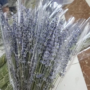 Ramo de Lavanda Seca Premium al por Mayor, Lavanda Aromática Seca al Aire Natural y Ecológica, 100g/Paquete, Aroma para el Hogar, Aromaterapia, Floristerías - Product Image 3