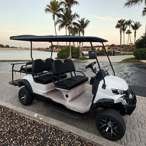 Carro de Golf Eléctrico Todoterreno de 4 Plazas con Compartimentos para Carreteras No Públicas - Product Image 2