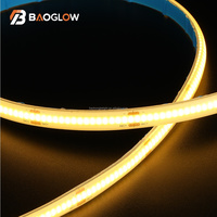 Lumières LED pour décoration de piscine extérieure, étanches IP68, découpables, 12W/M, PCB 10mm, 3000K 4000K 6000K, blanc chaud naturel, lumières en bande