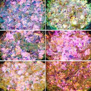 جديد مستحضرات التجميل درجة الحرباء الصباغ قوس قزح الشفق الشفاف لظلال العيون رقائق مجسمة - Product Image 6