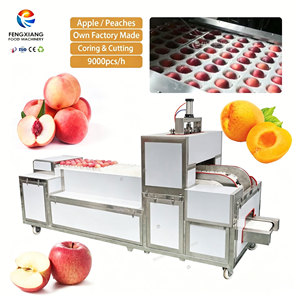 QH-T Green Jujube Apple Peach Pitting and Splitting <b>Machine</b> 9000pcs/h Food Grade <b>Stone</b> Fruit Coring <b>Cutting</b> <b>Machine</b> - Product Image 6