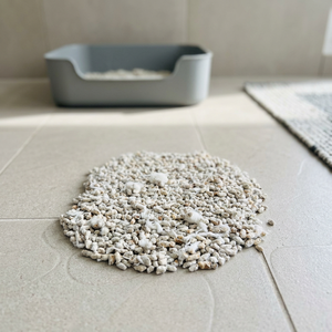 Graines de coton entières de qualité supérieure, grades fabuleux, 3,5-10MM, BJ, contactez-nous, alimentation animale - Product Image 3