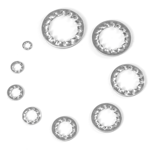 Lot de 10 rondelles de blocage à dents intérieures plates en acier inoxydable 304/acier au carbone zingué, norme DIN, M3-M5-M8-M16-M30 - Product Image 3