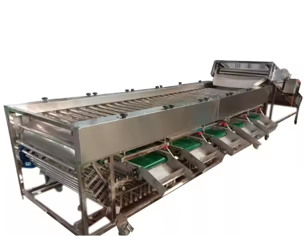 Roller Type Fruit and Vegetable Sorting