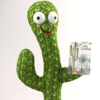 Cactus dansant, classique, vente en gros, cactus magique, nouveauté