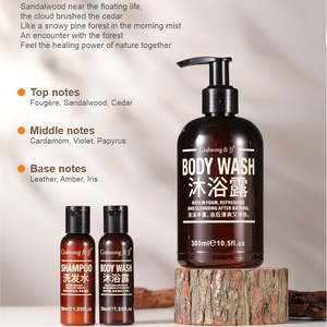 OEM/ODM Bois de santal clair de lune 30ml/300ml Équipement de douche Distributeur mural antivol pour hôtel Après-shampoing et shampoing - Product Image 2