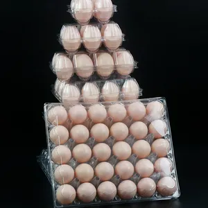 Wholesale Plastic Egg Trays Packing Box Plastic Egg Trays For 30 Eggs