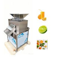 Presse industrielle à froid à double rouleau, extracteur lent commercial pour jus de fruits, citrons, agrumes et oranges