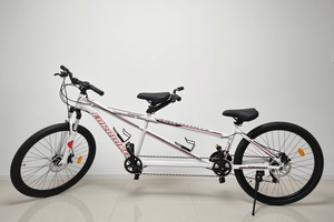 Vélo <span class=keywords><strong>tandem</strong></span> en acier haute teneur en carbone de 26 pouces avec 21 vitesses pour le VTT en duo - Product Image 2