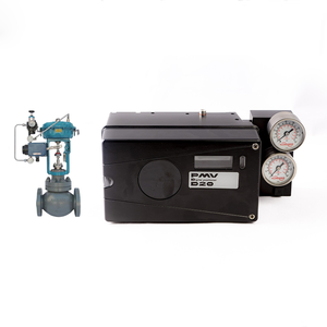PMV D20 Original con Instrumento WU ZHONG - Product Image 4