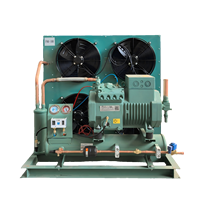 Équipement de chambre froide : Unité de condensation à refroidissement par air, compresseur à piston semi-hermétique, système de réfrigération pour chambre froide, moteur