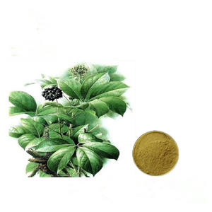 Toptan fabrika kaynağı saf sibirya eleuthero kök ekstresi tozu sibirya <span class=keywords><strong>Ginseng</strong></span> kökü extarct - Product Image 2
