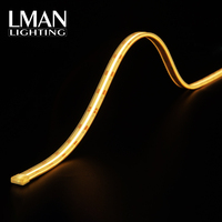 Bande LED flexible très stable certifiée ROHS, 5m, blanc chaud, contrôle automatique, design COB, étanche IP65, 480 LED/m, DC 24V