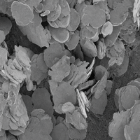 Poudre d'fer carbonyl phosphaté en flocons de haute pureté