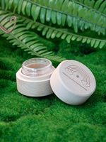 Urna Funeraria Miniatura de Madera de Haya Natural para Mascotas, Puente Arcoíris Grabado, Caja Pequeña para Guardar Cenizas y Pelo, Recuerdo Conmemorativo para Perros y Gatos