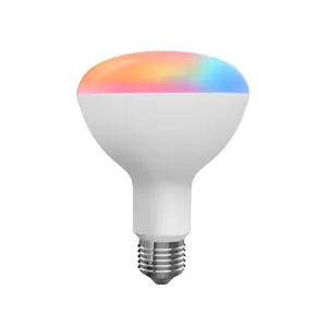 Tuya Wifi Ble Zigbee 10w Wifi Rgb Led Ampoules B22 E27 Led Dimmable Disco Neon Light Ampoules Alexa Google Home Voice Control