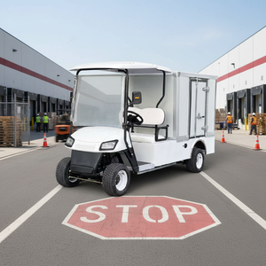 Carrito de Golf Eléctrico con Cajas de Carga, Portacelular Multifuncional, Certificado EEC, 30 km/h, Autonomía de 70-90 km - Product Image 1