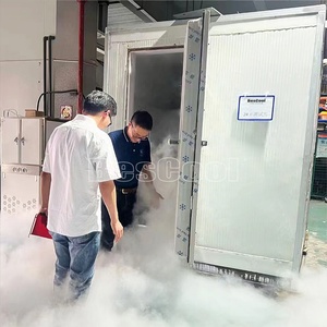 Phòng lạnh di động dễ dàng vận hành coolroom kho lạnh thương mại để bán lẻ và cửa hàng đi bộ trong tủ đông - Product Image 4