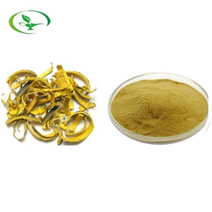 <b>Best</b> Price Food Grade Amur Corktree Bark Extract Powder Form Packaged in Drum Quality Phellodendron Amurense Bark Extract - Product Image 5