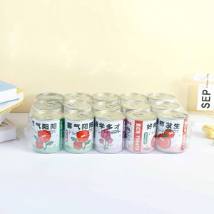 Kit de Cultivo de Semillas Extraíbles para Niños y Estudiantes, Semillas de Tomate, Fresa, Flores, Bonsái, Kit Educativo - Product Image 2