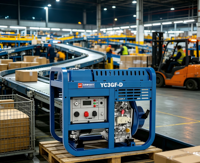 Générateur diesel d'urgence 3 kW, puissance nominale 2,8 kW, alimentation de secours monophasée portable