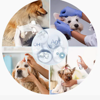 Solution d'argent colloïdal nano hautement concentrée 10000 ppm, couleur claire, vente en gros pour le lavage et la désinfection des mains