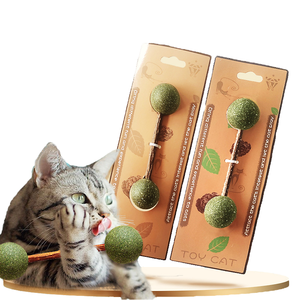 Bastoncini Masticabili alla Menta Biologici con Erba Gatta e Frutto di Polygonum, Snack Lussuosi per Gatti, Giocattolo da Masticare per Uso Interno/Esterno, Anti-Noia - Product Image 5