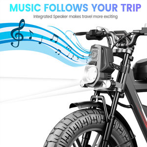 WO18 전기 자전거 2000W 듀얼 모터 25AH 배터리 20 ''뚱뚱한 타이어 & 성인을위한 음악 플레이어 전자 자전거 내장 - Product Image 6