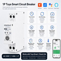 Tuya 1P 63A Relais intelligent Wi-Fi en plastique pour installation sur rail DIN, mini-interrupteur intelligent, mini-disjoncteur AC230V