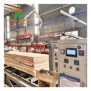 Achetez des panneaux de contreplaqué imperméables de 18mm pour des applications de cuisine et de villa - Product Image 6