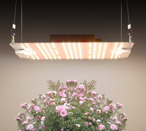 Luz de crecimiento de plantas de placa cuántica LED de espectro completo Marco de piso de invernadero cuadrado Luz de relleno de plantación de vegetales - Product Image 5