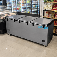 Réfrigérateur horizontal 1010L, congélateur commercial, R290, refroidissement direct, contrôle numérique de la température, double compresseur, vente en gros