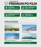Film de paillage en LDPE en gros, plat, PO 200 microns, 150 microns, longue durée de vie, pour jardinage et agriculture, couverture plastique pour tomates