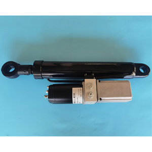 Actuador Lineal Electrohidráulico de Revitalización con Motor de CC y Construcción de Acero para Plataformas Elevadoras y Sistemas Navales - Product Image 1