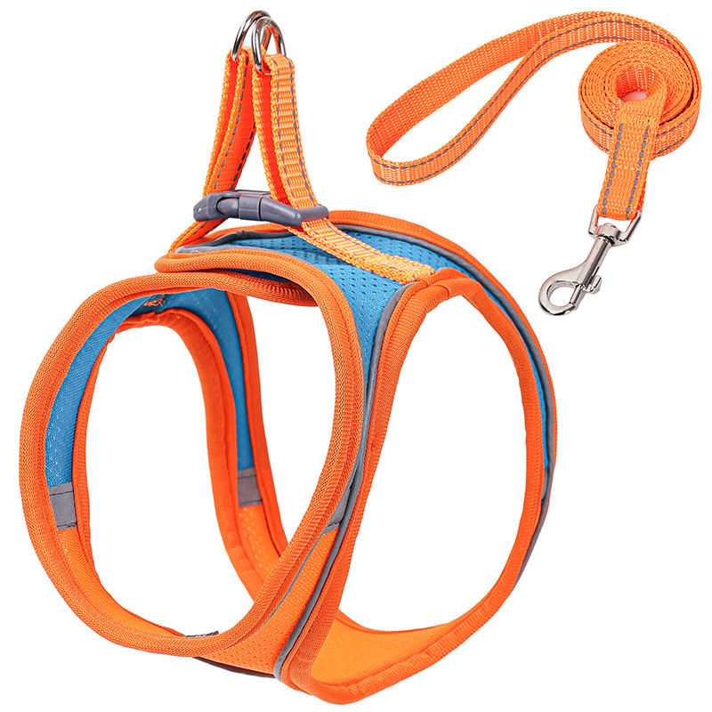 สีฟ้าสีส้ม