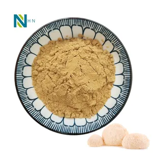 organic lions mane mushroom extract lions mane 8:1 10:1 Hericium erinaceus extract organic lions mane capsules