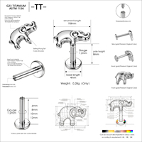 TT - Clou d'oreille plat en titane ASTM F136 pour piercing nez et oreille, boucles d'oreilles hélix, bijoux de corps tendance pour femme