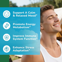 Capsules OEM 15-en-1 Complexe Vitamine B6 L-Théanine Ashwagandha Magnésium pour le Soutien Immunitaire et la Santé