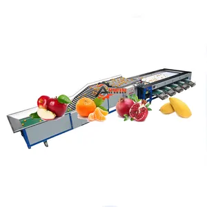 ALLWIN 600 Mango Potato Apple Fruit Grading Sorting Machine Passion Fruit Size Picker Lime Olive Multifunctional Provided 220v