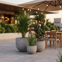 Set 3 Pot Tanaman GRC Abu-abu Batu Terang Tekstur Batu Kasar, Pot Bunga Beton Tahan Cuaca untuk Dalam & Luar Ruangan, Hotel