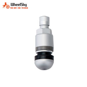 <span class=keywords><strong>Capteur</strong></span> TPMS sans chambre à air en alliage d'aluminium Wheelsky pour système <span class=keywords><strong>de</strong></span> surveillance <span class=keywords><strong>de</strong></span> la <span class=keywords><strong>pression</strong></span> des pneus - Product Image 2