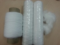 High Tenacity Raw Polypropylene Filter Yarn Acidproof Core Spun Yarn for Water Filter Cartridge