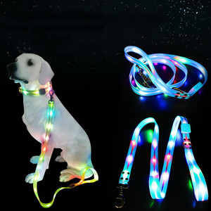 Holesale-collar con luz <span class=keywords><strong>LED</strong></span> para perro, Correa brillante recargable por USB - Product Image 3