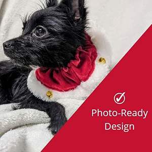 JTPAWS Ruff Pet Scrunchy |   Santa |   Peluche Festivo Navideño para Perros/Gatos |   Campanas Divertidas y Elásticas para Collares de Mascotas - Product Image 4