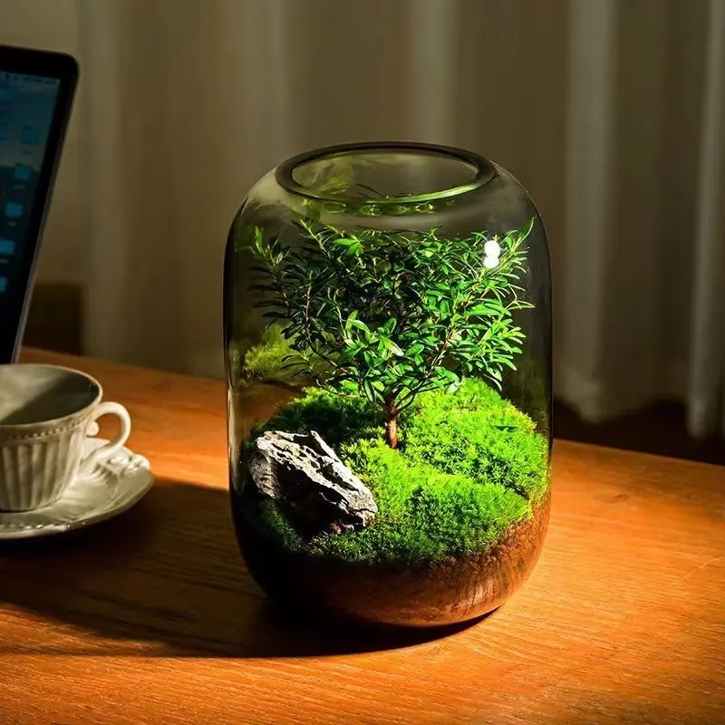 Vaso de vidro para plantas de interior com design transparente, vasos de plantas verdes de musgo para decoração de casa e escritório, aquários