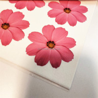 Décoration comestible pour boissons : Papier de sucre, film d'amidon flottant pour topper de boisson, logo d'entreprise comestible DIY, décoration de gâteau, dessert, biscuit