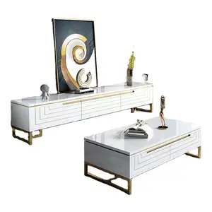 Mesa de centro de acero inoxidable para sala de estar, muebles modernos y ligeros de lujo, mesa de centro y TV, Muebles personalizados de metal